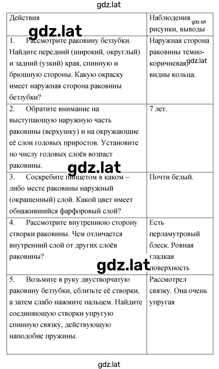 Решение задания № 5 — страница 2