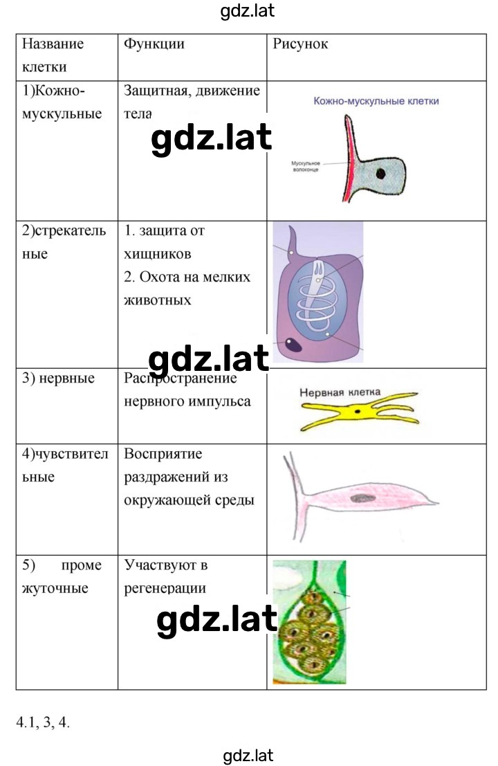 Решение задания № 11 — страница 2