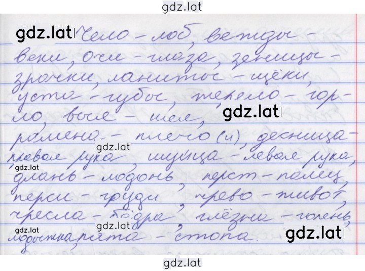 Решение задания № 176 — страница 1