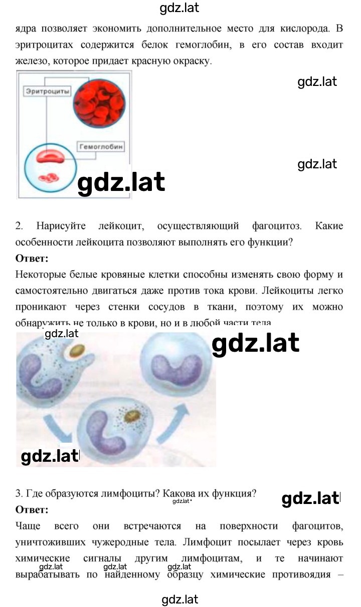 Решение задания № 45 — страница 2