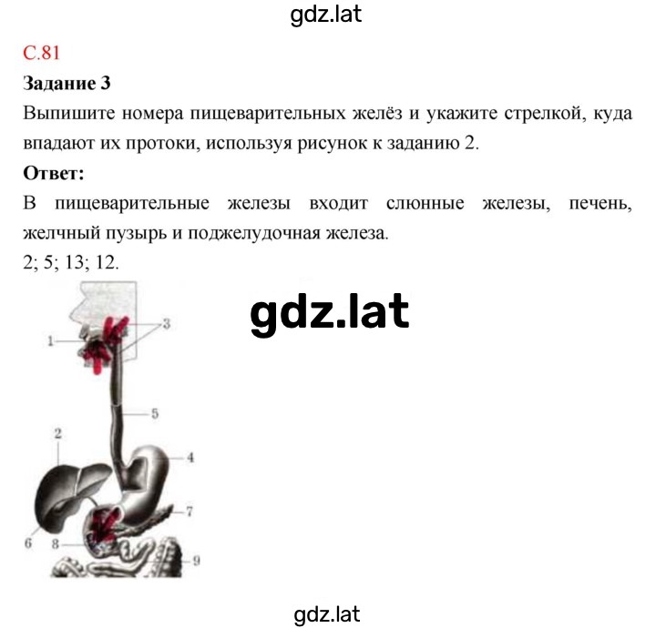 Решение задания № 81 — страница 1