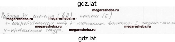 Решение задания № 24 — страница 1