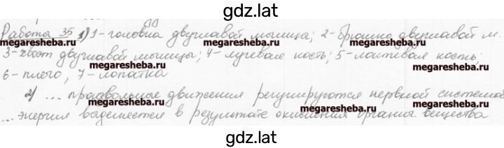 Решение задания № 24 — страница 2
