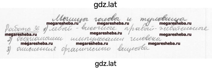 Решение задания № 25 — страница 1