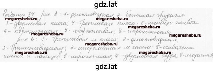 Решение задания № 25 — страница 2