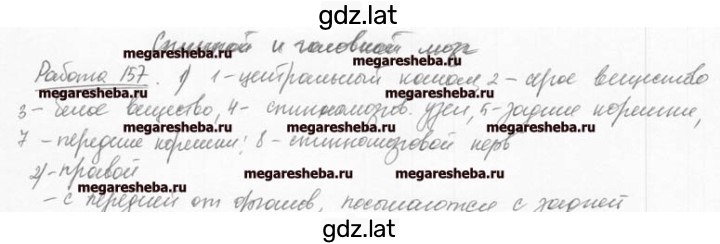 Решение задания № 28 — страница 1