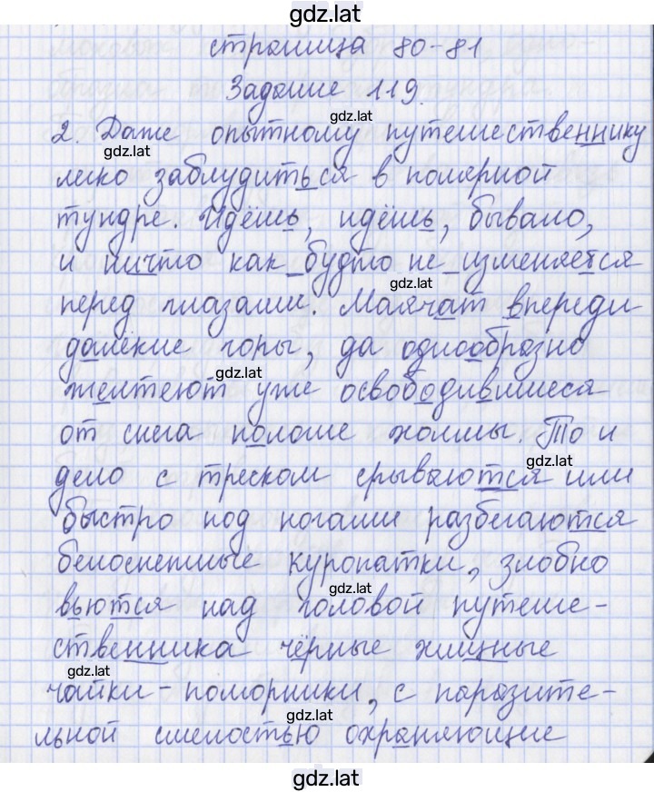 Решение задания № 119 — страница 1