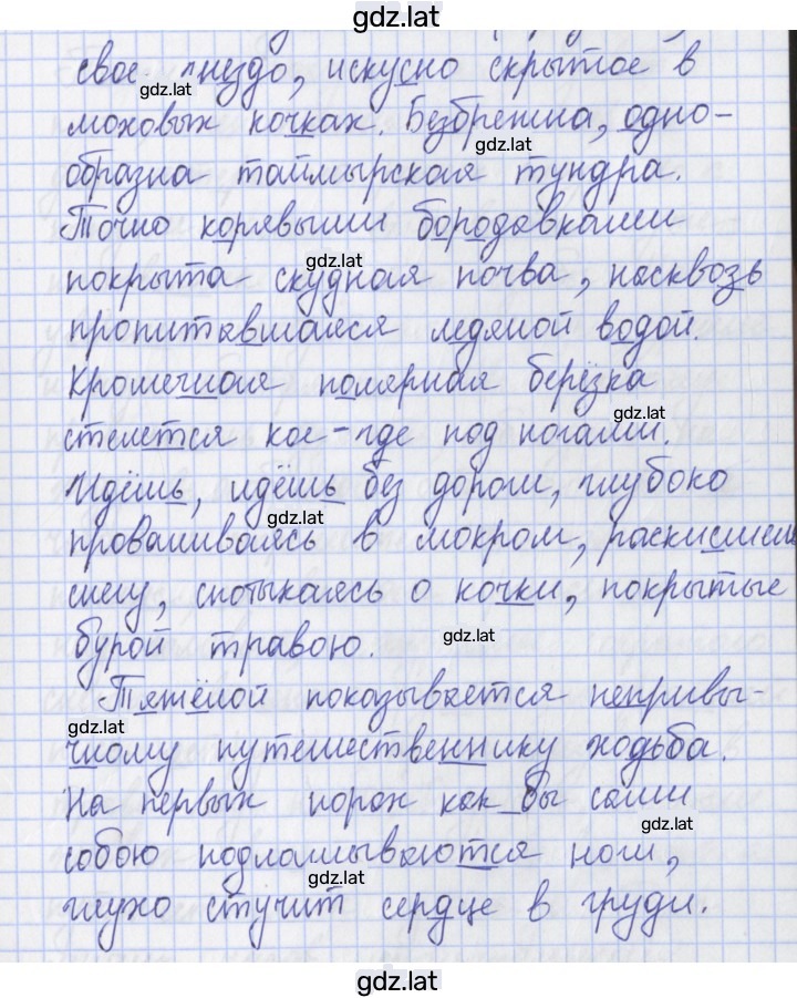 Решение задания № 119 — страница 2