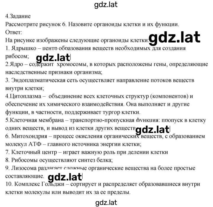 Решение задания № 4 — страница 1