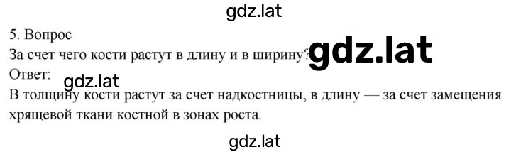 Решение задания № 5 — страница 1