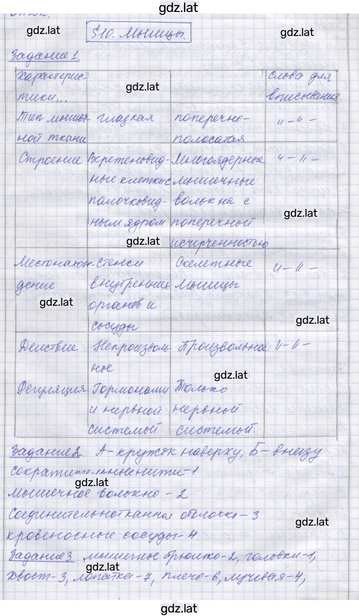 Решение задания № 10 — страница 1
