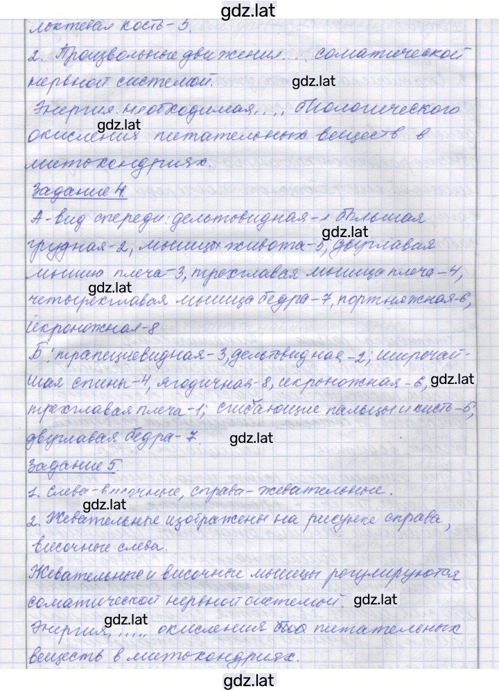 Решение задания № 10 — страница 2