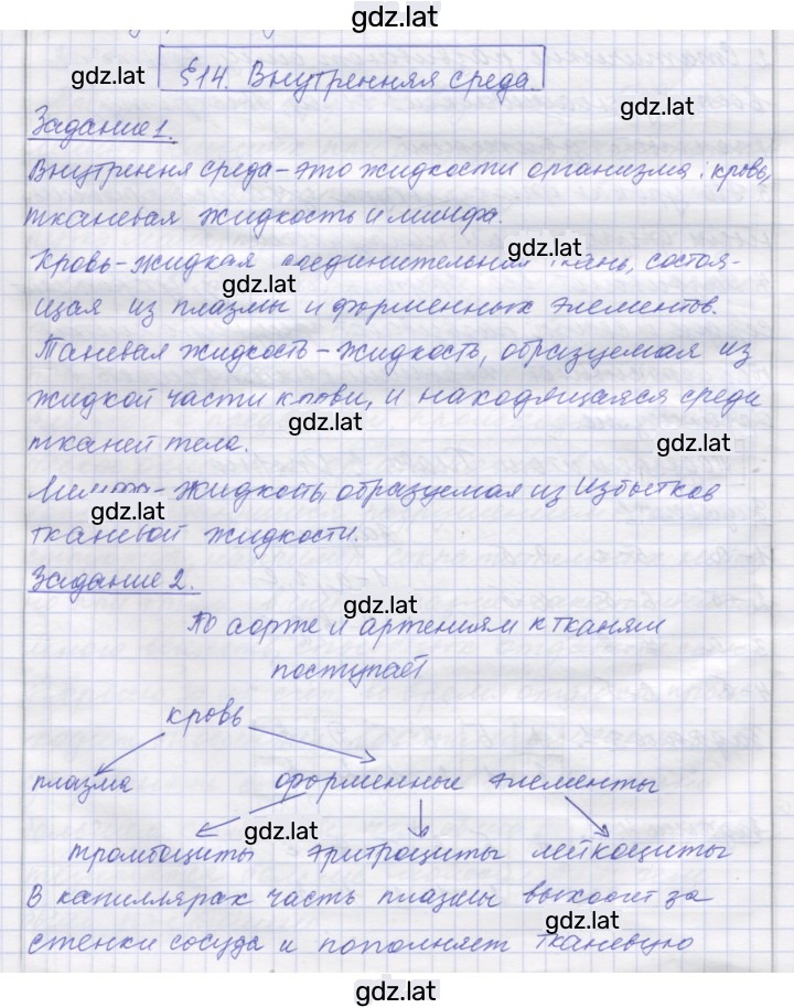 Решение задания № 14 — страница 1