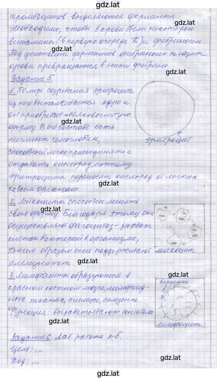 Решение задания № 14 — страница 3