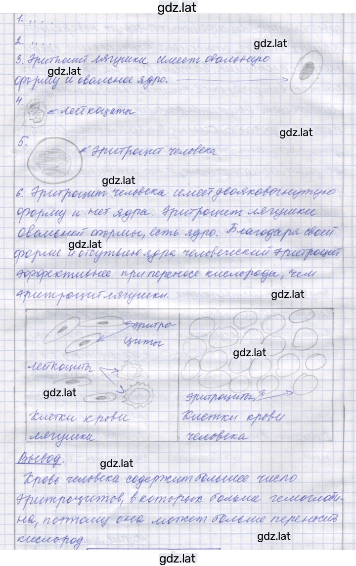 Решение задания № 14 — страница 4