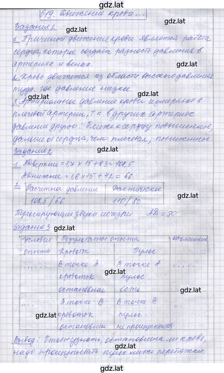 Решение задания № 19 — страница 1