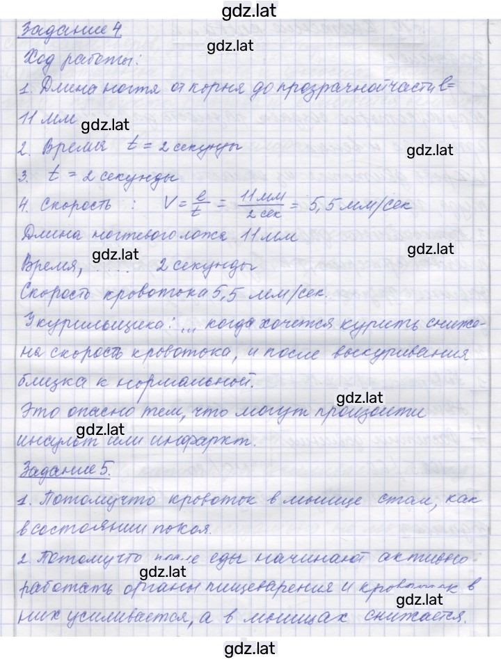 Решение задания № 19 — страница 2