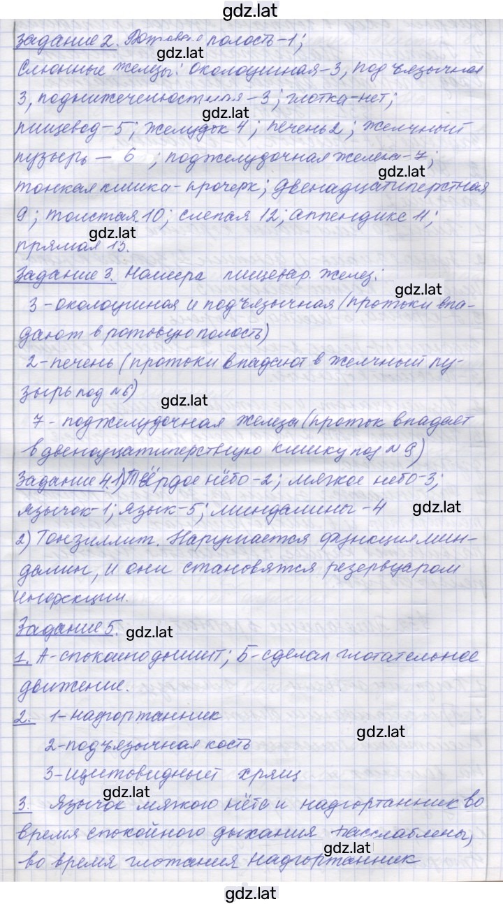 Решение задания № 30 — страница 2