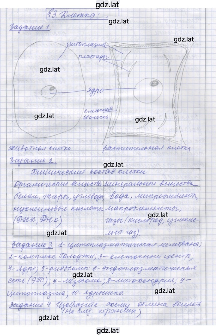 Решение задания № 3 — страница 1
