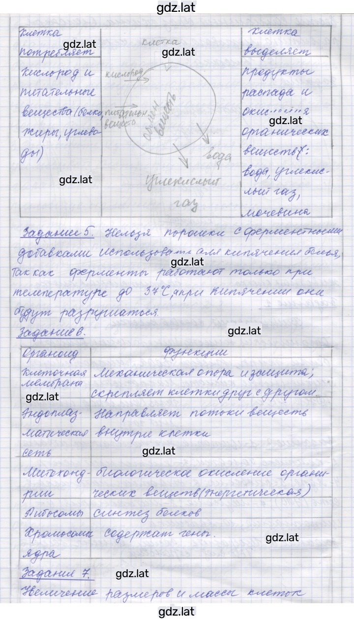 Решение задания № 3 — страница 2