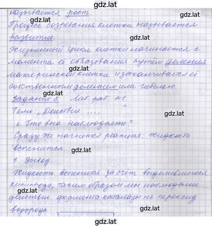 Решение задания № 3 — страница 3