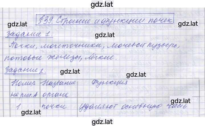 Решение задания № 39 — страница 1