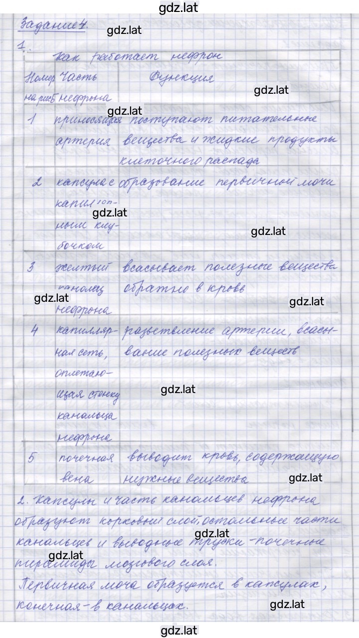 Решение задания № 39 — страница 3