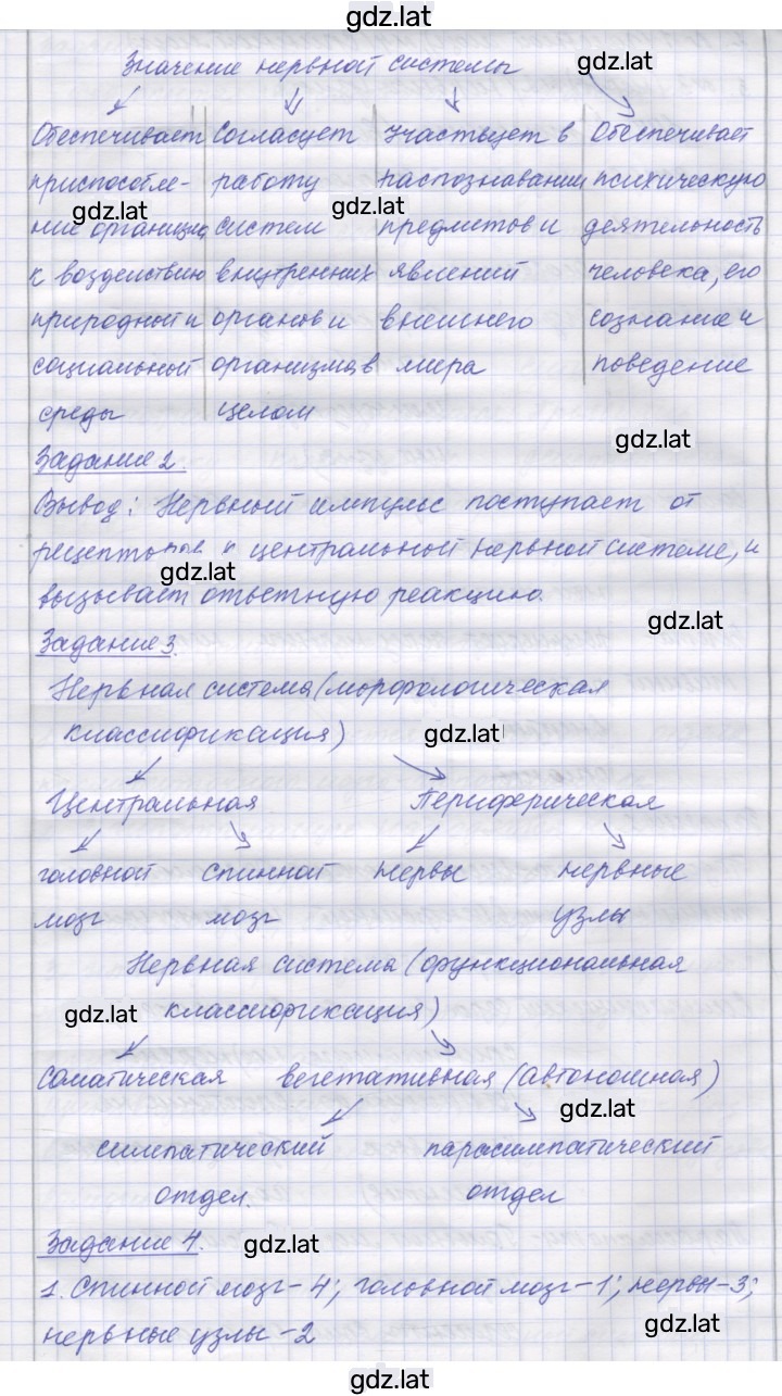 Решение задания № 46 — страница 2