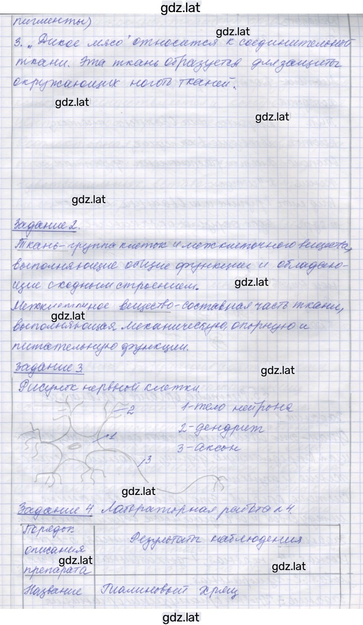 Решение задания № 4 — страница 3