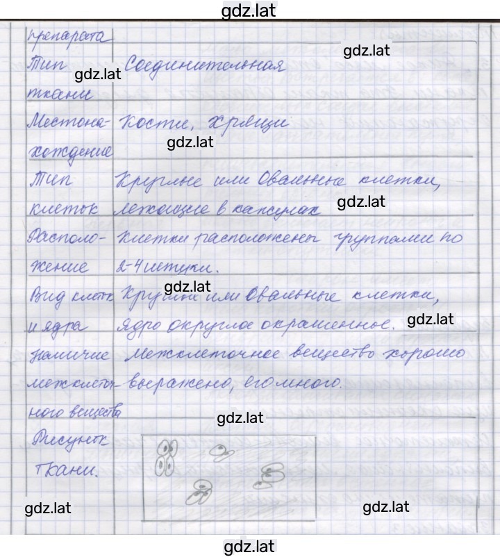 Решение задания № 4 — страница 4