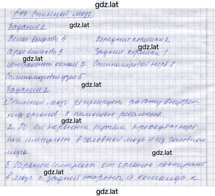 Решение задания № 49 — страница 1