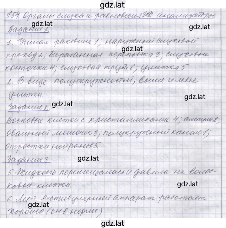 Решение задания № 54 — страница 1