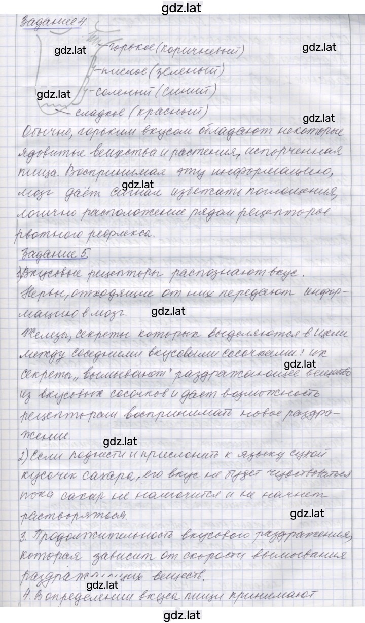 Решение задания № 55 — страница 3