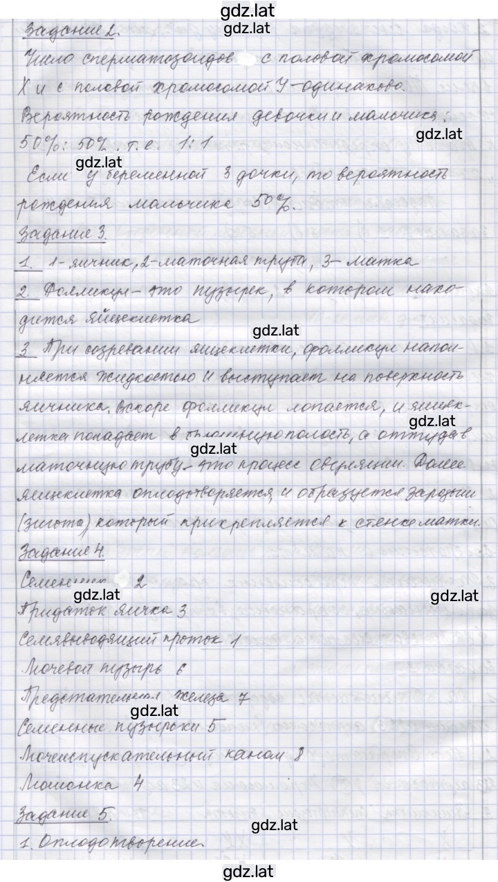 Решение задания № 63 — страница 2