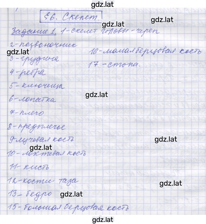Решение задания № 6 — страница 1