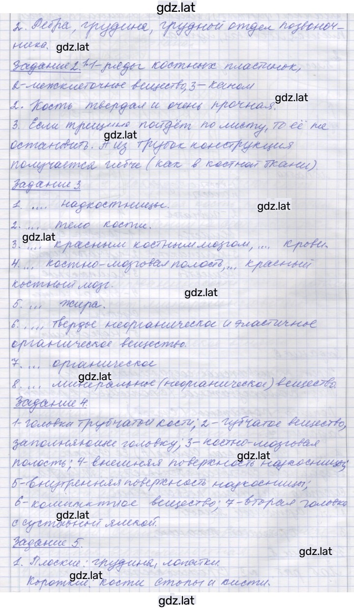 Решение задания № 6 — страница 2