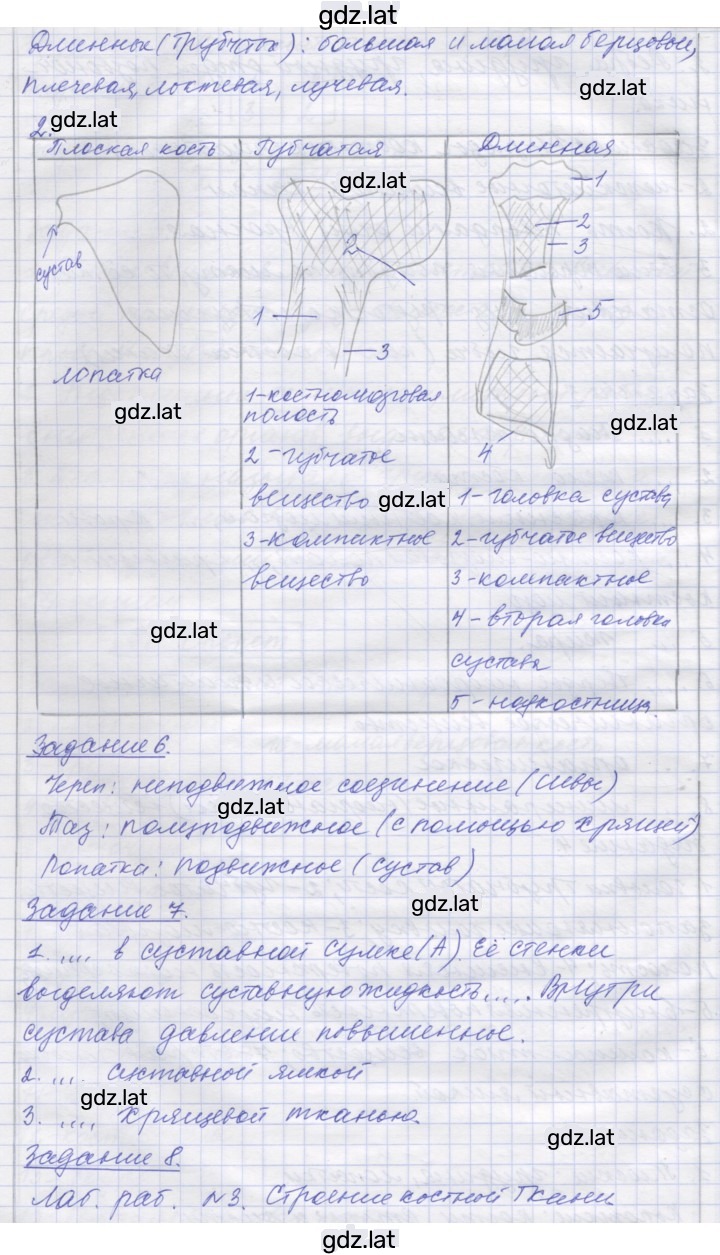 Решение задания № 6 — страница 3