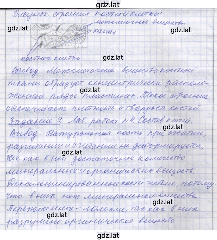 Решение задания № 6 — страница 4