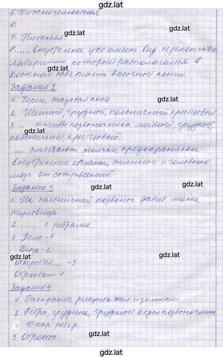 Решение задания № 7 — страница 2