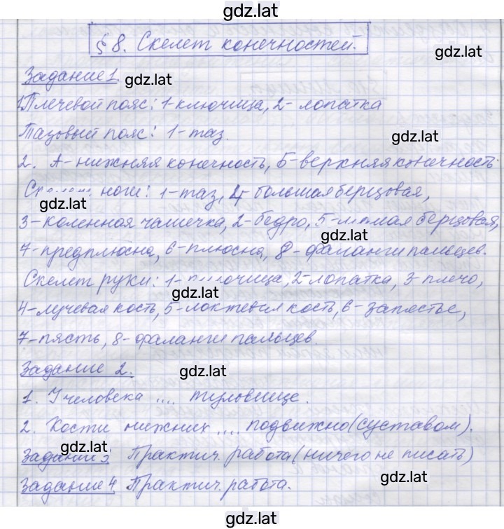 Решение задания № 8 — страница 1