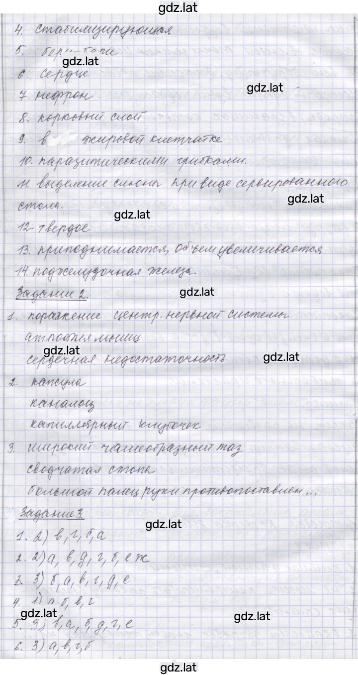 Решение задания № Итоговая проверка знаний — страница 2
