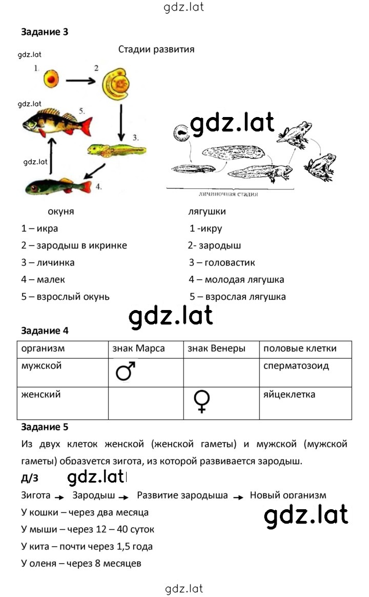 Решение задания № 12 — страница 4