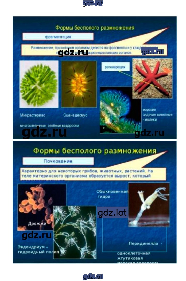 Решение задания № 16 — страница 3