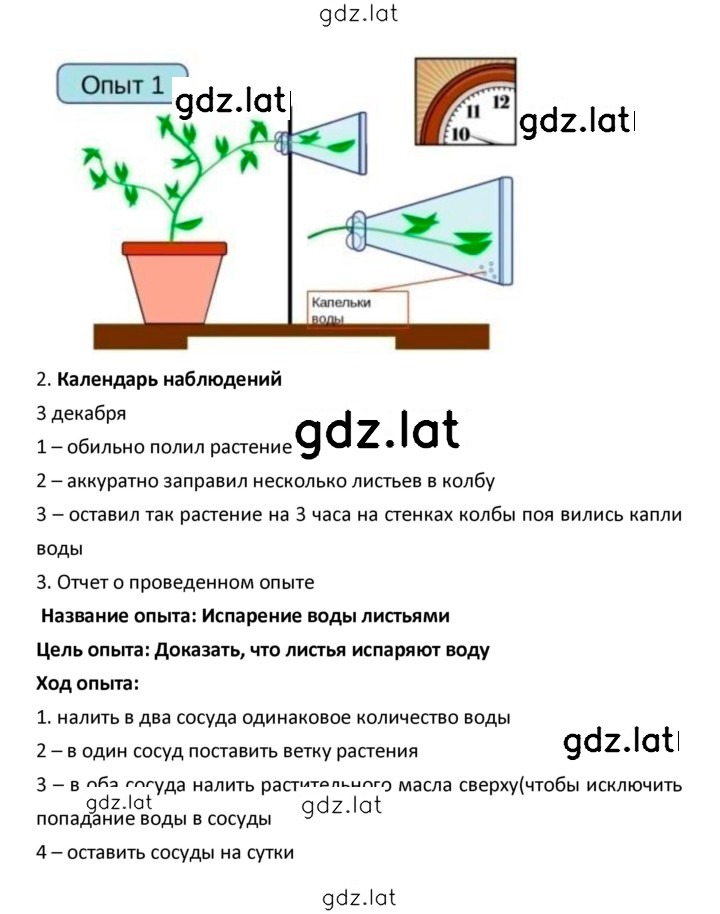 Решение задания № 23 — страница 2