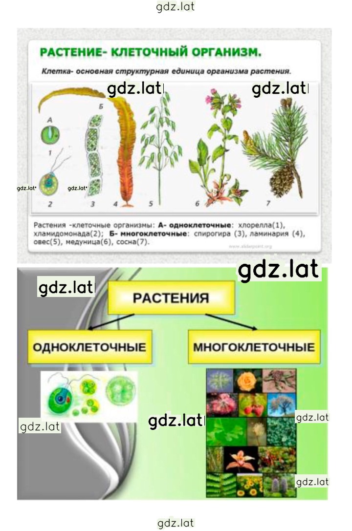 Решение задания № 32 — страница 2