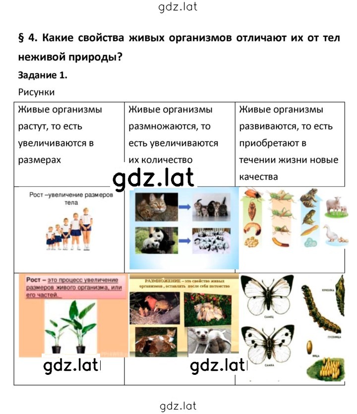 Решение задания № 4 — страница 1