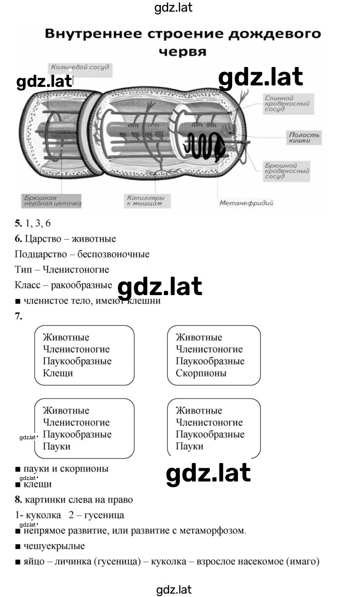 Решение задания № 47–54 — страница 2