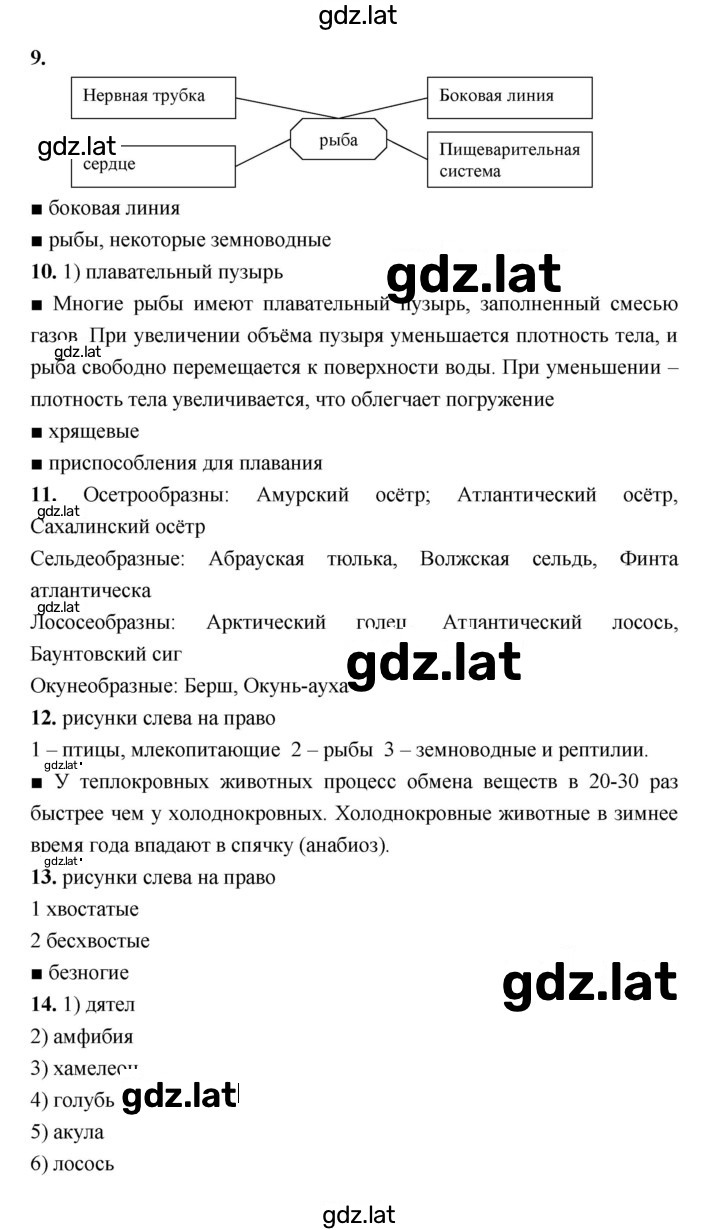 Решение задания № 47–54 — страница 3
