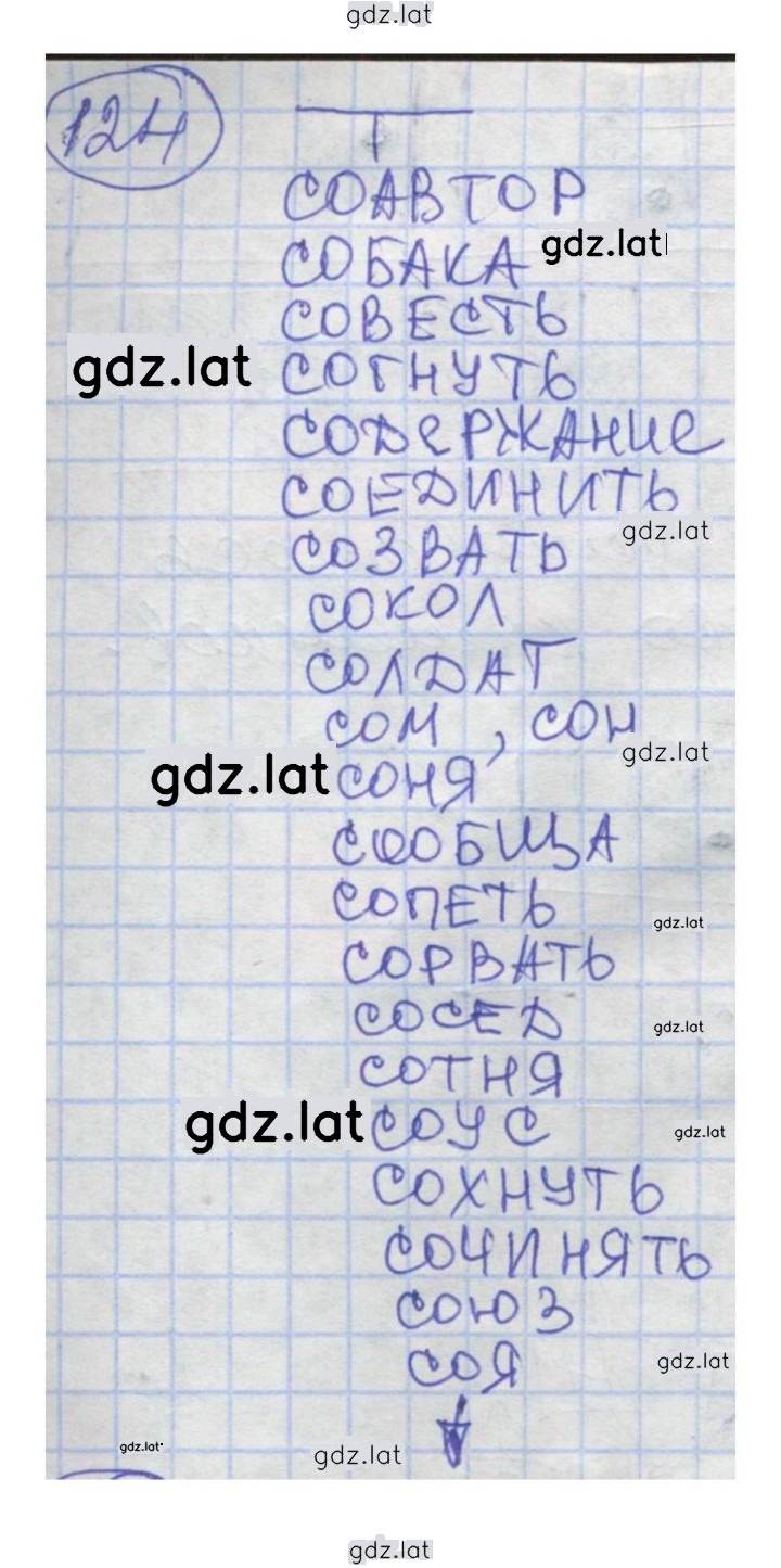 Решение задания № 124 — страница 1