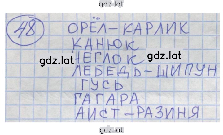 Решение задания № 48 — страница 1